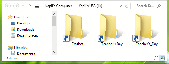 Tampilan file terinfeksi virus shortcut di flashdisk