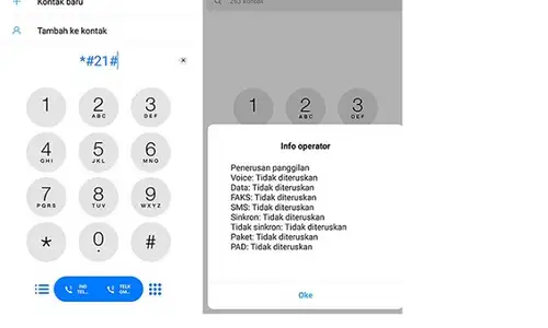 Tampilan kode USSD untuk memeriksa pengalihan panggilan ponsel.